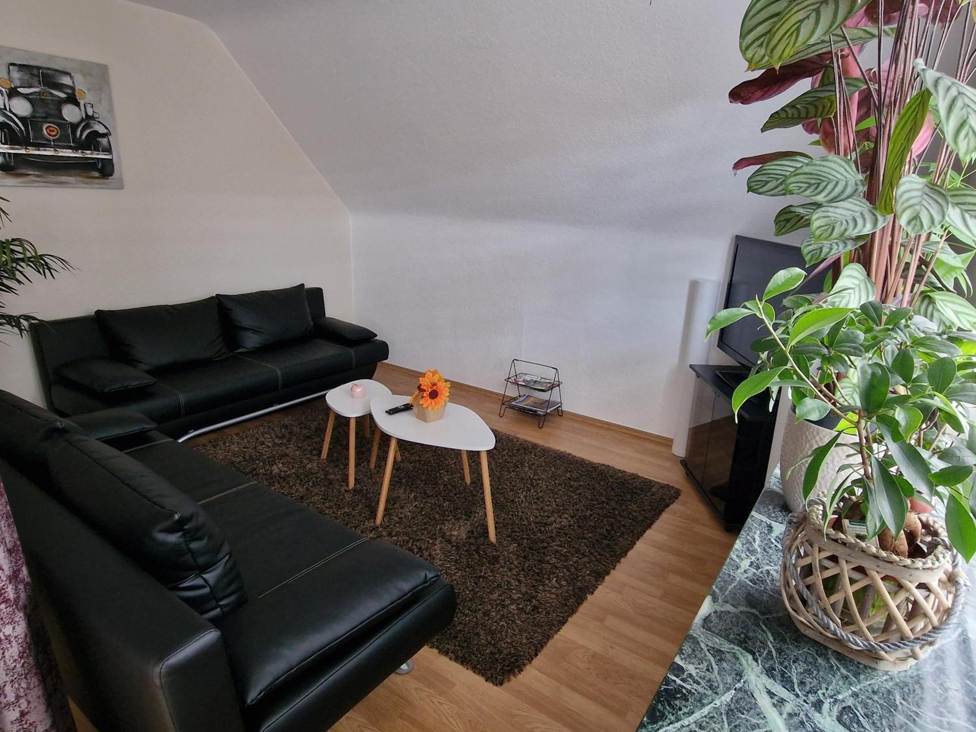 Zimmervermietungen Jachna Haselunne Bagian luar foto
